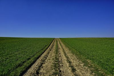 Scenic view of agricultural field against clear blue sky