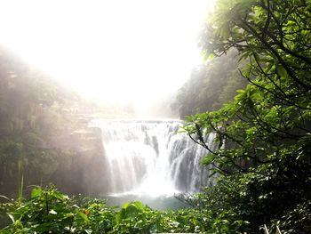 Scenic view of waterfall in forest