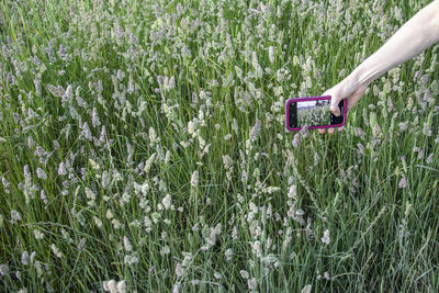 Cropped hand of woman using mobile phone on field