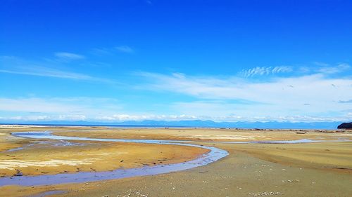 Scenic view of beach against blue sky