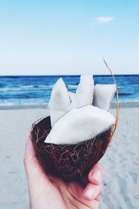 Cropped image of hand holding coconut at beach