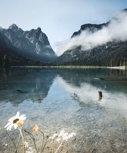 Scenic view of lake by mountains against sky