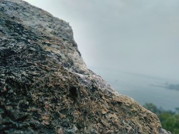 Close-up of rock on sea against sky