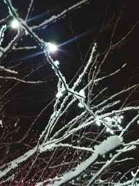 Close-up of illuminated snow against sky at night