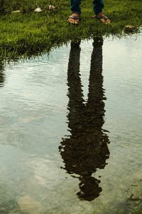 Low section of person standing on lake