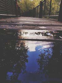 Reflection of trees in puddle