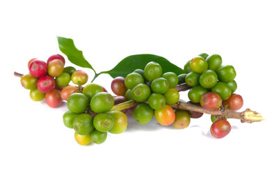 High angle view of grapes over white background