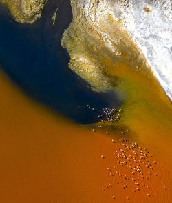 High angle view of drink on beach