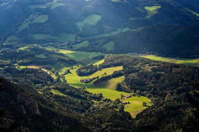 Aerial view of agricultural field