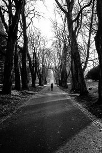 Man walking on road amidst bare trees