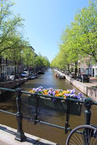 Boats in river by trees against sky