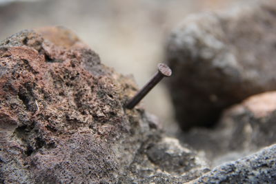 Close-up of cigarette on rock