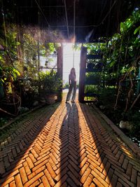 Woman standing in greenhouse