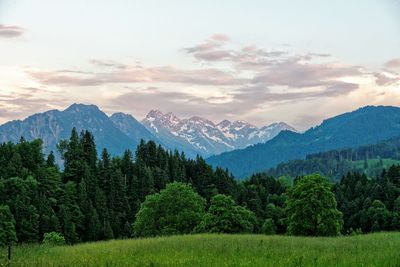 Scenic view of trees and mountains against sky