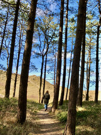 Rear view of man standing on field against trees in forest