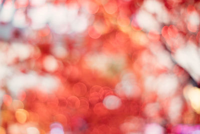 Defocused image of christmas lights