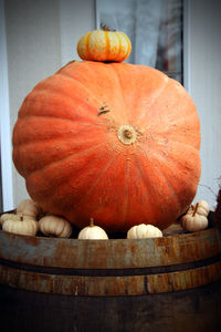 Close-up of pumpkins