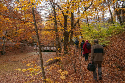 Rear view of people walking in forest during autumn