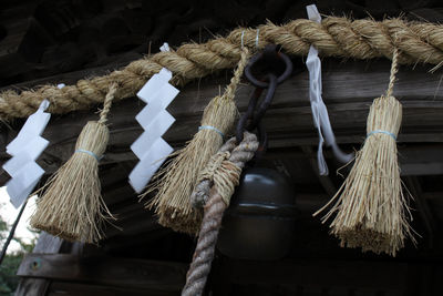 Low angle view of tied hanging on rope