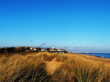 Scenic view of sea against clear blue sky