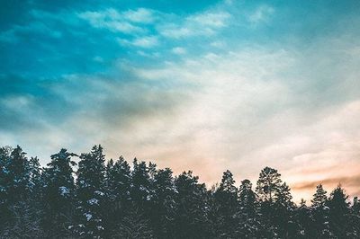 Low angle view of trees against cloudy sky