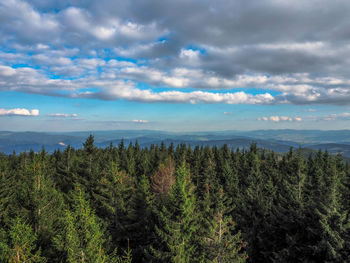 Scenic view of forest against cloudy sky