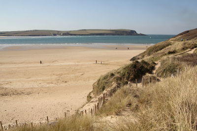Scenic view of beach