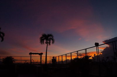 Silhouette of palm trees against dramatic sky