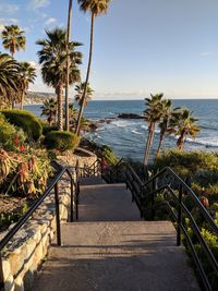 Scenic view of palm trees at beach against sky