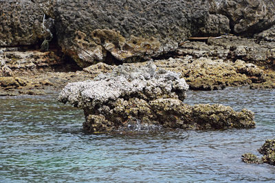 Rocks in sea