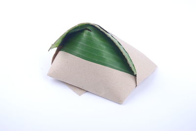 High angle view of leaf on white background