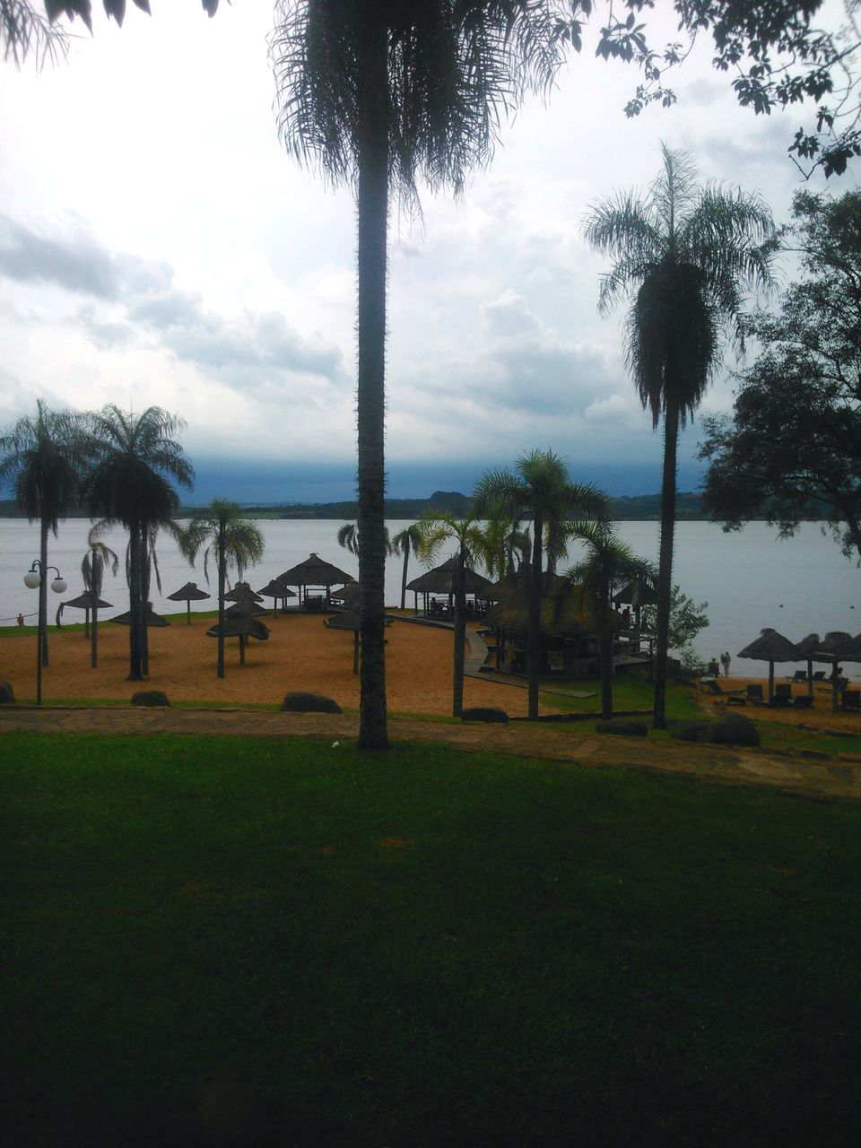 VIEW OF TREES ON LANDSCAPE AGAINST SKY