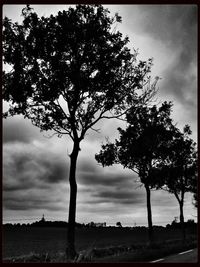 Bare trees on landscape against cloudy sky