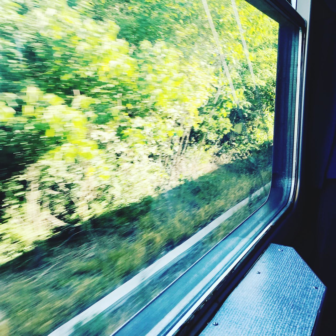 TRAIN SEEN THROUGH WINDOW