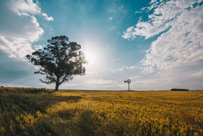 Scenic view of agricultural field against sky