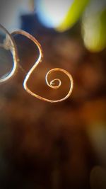 Close-up of waterdrops on bubbles against blurred background