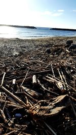 Aerial view of sea against sky