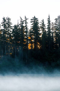 Sunrise at mt. baker, wa