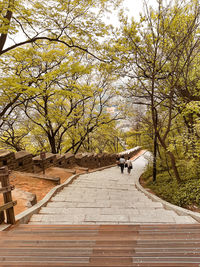 Seoul korea namsan tower