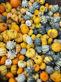 Full frame shot of pumpkins for sale