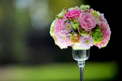 Close-up of pink rose flower in vase