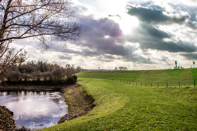 Scenic view of field against sky