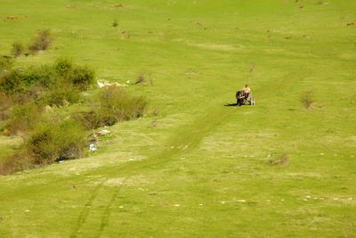 High angle view of people on field