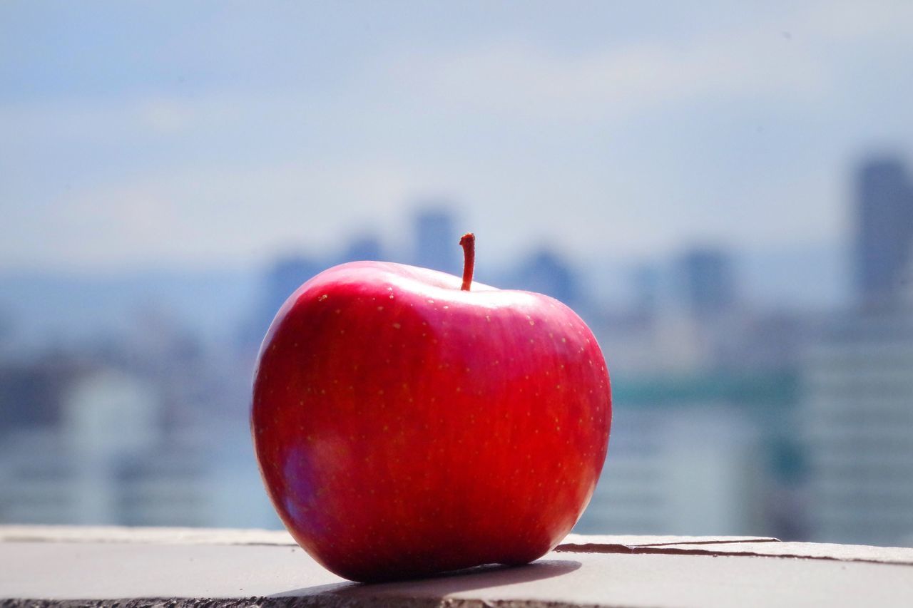 fruit, healthy eating, red, freshness, food, food and drink, close-up, focus on foreground, no people, day, outdoors