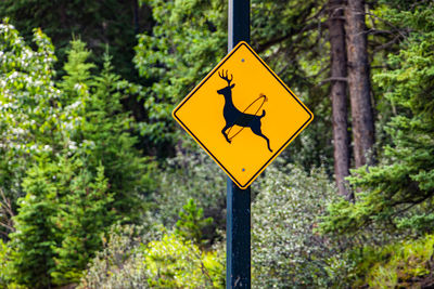 Road sign against trees