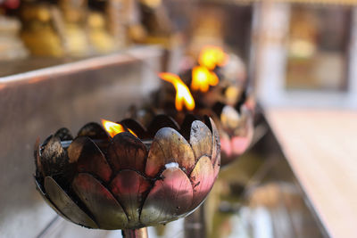 Close-up of lit candles in temple