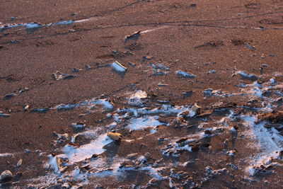 Full frame shot of rocks