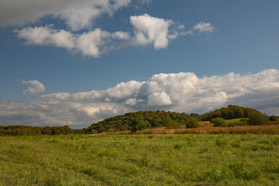 Scenic view of field against sky