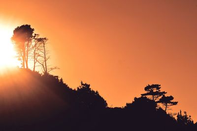 Low angle view of silhouette trees against orange sky