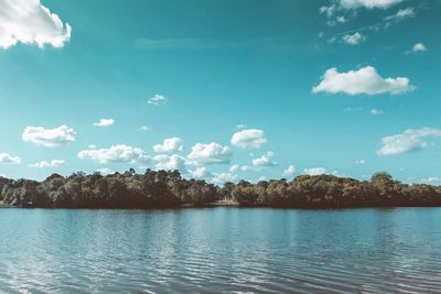 Reflection of trees in calm lake